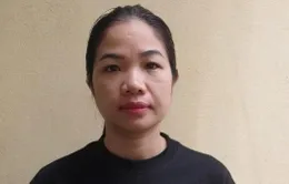 Dựng kịch bản vay tiền rút sổ tiết kiệm, chiếm đoạt hàng tỷ đồng