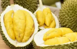 Sầu riêng đông lạnh Việt "rộng đường" vào Trung Quốc