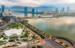 Thành lập Khu thương mại tự do thành phố Đà Nẵng