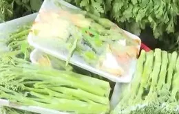 Giá rau tại TP Hồ Chí Minh tăng vọt