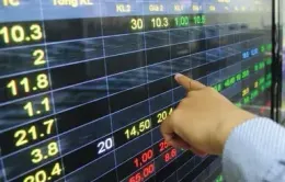 VN-Index tiếp sát mốc 1.340 điểm
