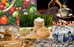 Thị trường nông sản chìm trong “sắc đỏ”: Xuất khẩu Việt Nam chịu áp lực