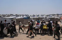 Israel bị cáo buộc tấn công người dân nhận cứu trợ ở Gaza