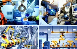 100% bộ, ngành, địa phương phải xây dựng chuyên trang về chuyển đổi số trước 2025