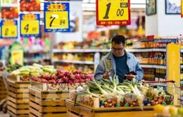 Tiêu dùng Trung Quốc bật tăng: Động lực dài hạn hay ngắn hạn?