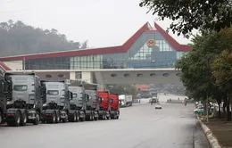 Thông quan nhanh trái cây tươi qua các cửa khẩu Lạng Sơn