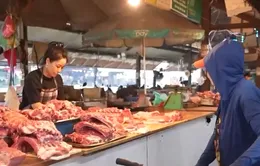 Người dân thận trọng nhưng không quay lưng với thịt lợn