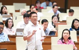 Phó Thủ tướng: Nên thu thuế khoán với hộ kinh doanh có doanh thu dưới 1 tỷ đồng