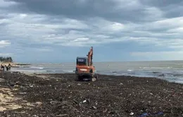 Rác phủ kín bãi biển Nhật Lệ sau mưa bão