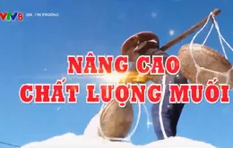 Nâng cao chất lượng muối
