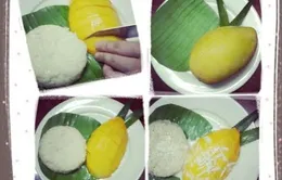 Hấp dẫn thơm ngon với món xôi xoài
