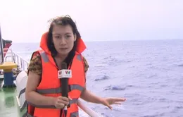 Phóng viên VTV4 kể chuyện tác nghiệp tại Biển Đông - Cơ hội hiếm và quý trong đời làm nghề