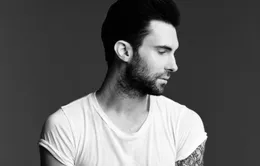 Adam Levine xin lỗi những người tình cũ trước khi kết hôn