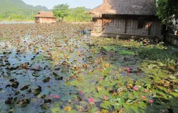Tiếng gọi Mai Châu