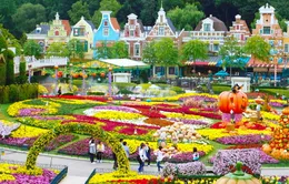 "Cưỡi ngựa, xem hoa" ở Everland