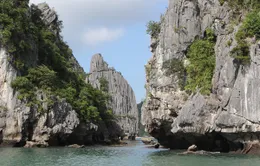 Nét quyến rũ hoang sơ của vịnh Lan Hạ