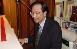 Chiều nay không có em