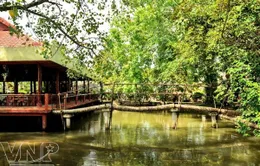 Du lịch miền sông nước hấp dẫn tại Châu Thành, Bến Tre