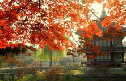 Đắm chìm trong những địa danh "siêu" lãng mạn tại Seoul