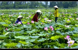 Trải nghiệm du lịch thú vị và tiết kiệm cùng TST tourist