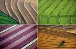 Nông thôn nước Mỹ tuyệt đẹp nhìn từ trên cao