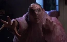 Phim hay trên Star Movies, HBO, Cinemax ngày 18/5