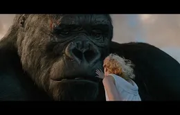 Phim hay trên Star Movies, HBO, Cinemax ngày 28/5 