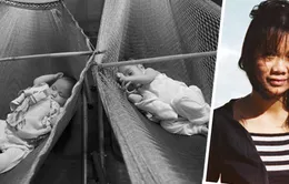 Phim tài liệu Việt Nam và những con cá trong cái âu thủy tinh