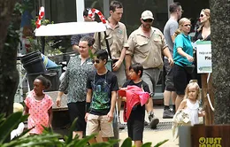 Gia đình Jolie Pitt xả hơi tại công viên