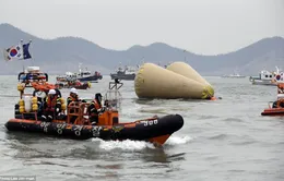 Chìm phà Sewol: Thêm nhiều thi thể đã được tìm thấy