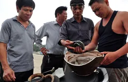 Phát hiện nhiều mảnh vỡ cổ vật ở vùng biển Quảng Ngãi