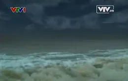Đặc sắc phim tài liệu "Lịch sử và lựa chọn" (11h05, 10/8, VTV1)