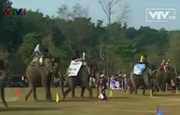 Đặc sắc lễ hội đua voi ở Nepal