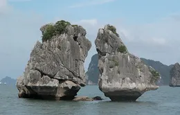 Hạ Long sẽ đón hàng loạt tàu biển quốc tế hạng sang