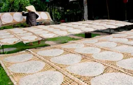 Làng nghề bánh tráng Quảng Nam vào Tết