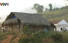 Không có đất sản xuất ở vùng di dân tái đinh cư tỉnh Nghệ An
