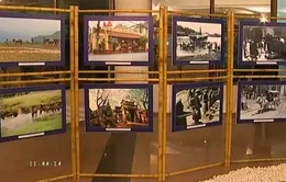 Hội Xuân Giáp Ngọ 2014 với nhiều điểm nhấn