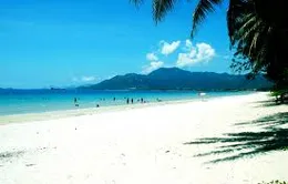 Đông đảo du khách đặt tour dịp Tết Nguyên đán 
