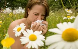 Bệnh dị ứng có thể ảnh hướng đến tính mạng?