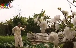 Rèn luyện sức khỏe qua Dưỡng sinh nhu quyền