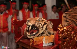 Lễ hội làng La Cả: Hấp dẫn màn múa côn nhử hổ