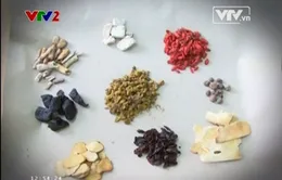 Bài thuốc đơn giản chữa Gan nhiễm mỡ