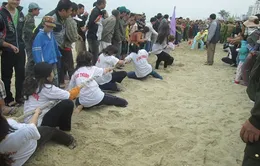 Tưng bừng lễ hội Cầu ngư 2014 tại Đà Nẵng