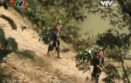Bảo tồn và phát triển nguồn dược liệu quý ở Lào Cai
