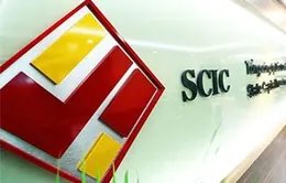 SCIC phải hoàn thành mua lại khoản đầu tư ngoài ngành về bảo hiểm, ngân hàng