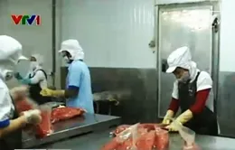 Doanh nghiệp thủy sản “lao đao” bài toán thiếu nguyên liệu