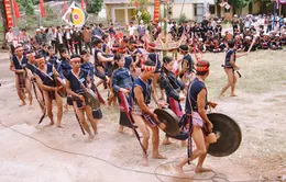 Gia Lai: Hưởng ứng năm du lịch quốc gia Tây Nguyên 2014