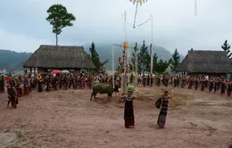 Gia Lai: Nhiều hoạt động hưởng ứng Năm Du lịch QG Tây Nguyên 2014