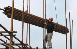 Con số thống kê tai nạn lao động hàng năm có chính xác?
