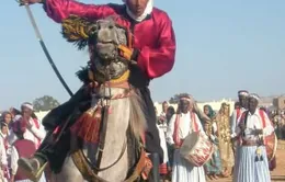 Lễ hội Ksour đặc sắc trên đất nước Tunisia